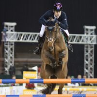 International Horse Show