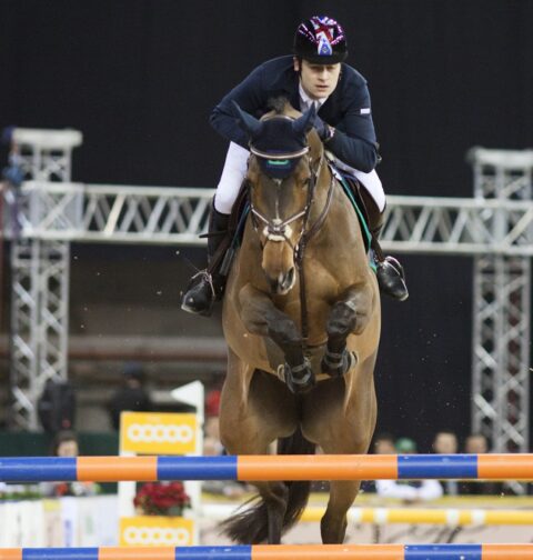 International Horse Show
