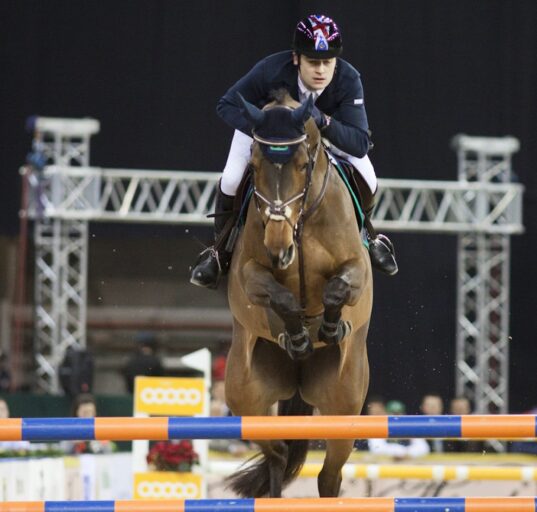 International Horse Show